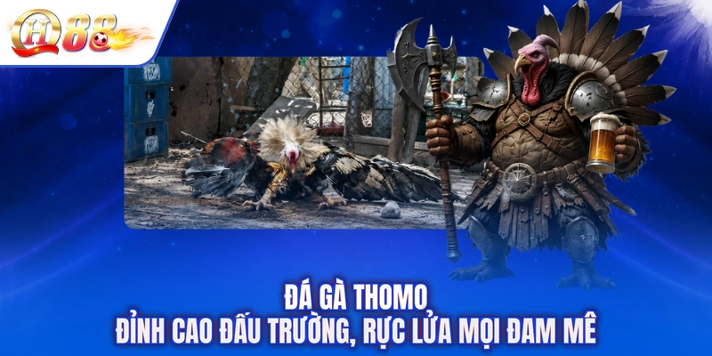 Đá Gà Thomo - Đỉnh Cao Đấu Trường, Rực Lửa Mọi Đam Mê