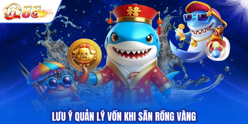 Lưu ý quản lý vốn khi săn rồng vàng