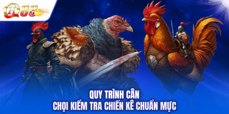 Quy trình cân chọi kiểm tra chiến kê chuẩn mực